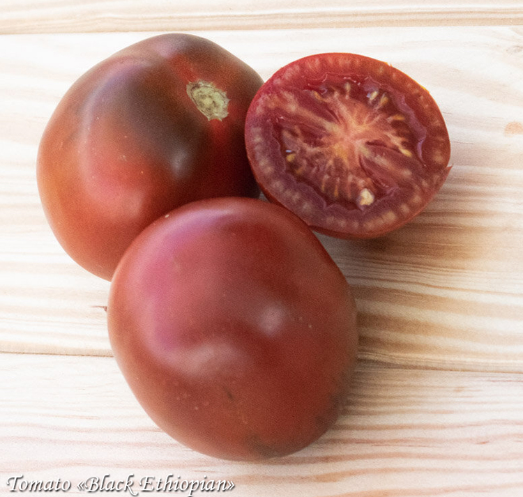 Tomato Black Ethiopian, Помидор Чёрный Эфиопский томат